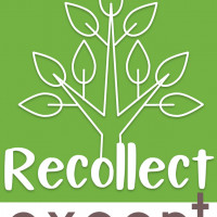 SC RECOLLECT EXPERT BUSINESS SRL