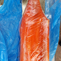 SC ROYAL FISH IMPEX SRL