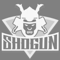 S.C. SHOGUN SECURITY VISION S.R.L.