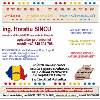 SINCU HORATIU ADRIAN INTREPRINDERE INDIVIDUALA