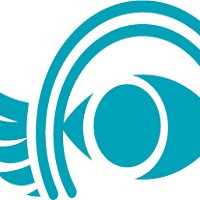 STP IMPORT EXPORT 2017 SRL