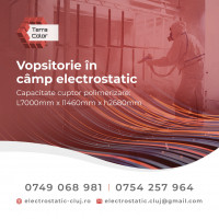 SC TERRA COLOR ACTIV SRL