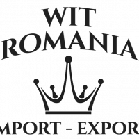 WIT ROMANIA IMPORT EXPORT SRL