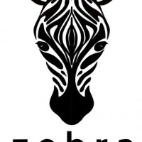 ZEBRA ADVERTISING SRL