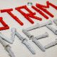 strim metal importator dibluri