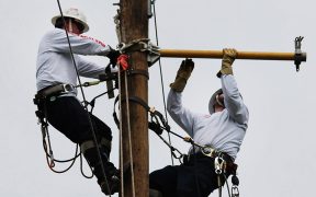 servicii alpinism utilitar