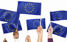 fonduri europene nerambursabile