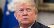 Donald Trump Presedintele Statelor Unite ale Amercii