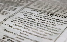 anunturi angajari mica publicitate