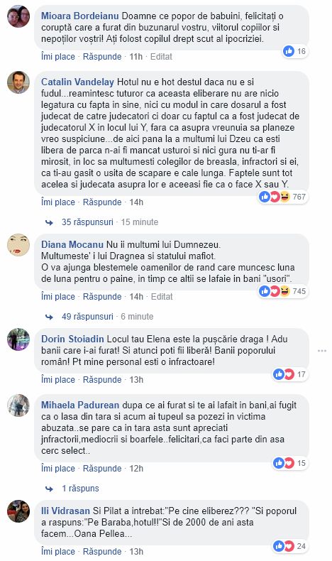 comentarii facebook elena udrea