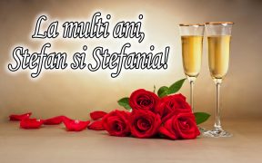 la multi ani Stefan si Stefania